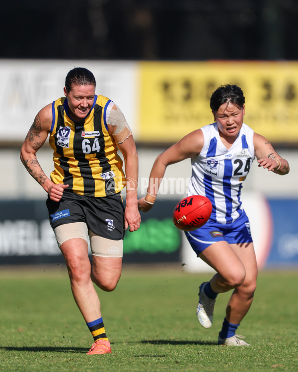 VFLW 2025 Round 14 - Sandringam v North Melbourne - A-61064152