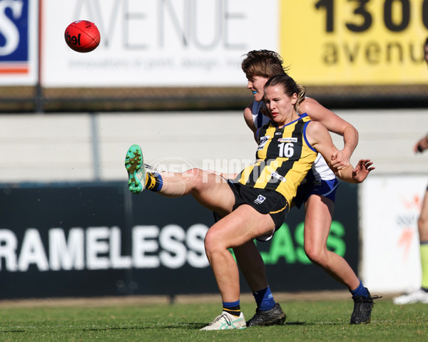 VFLW 2025 Round 14 - Sandringam v North Melbourne - A-61064153