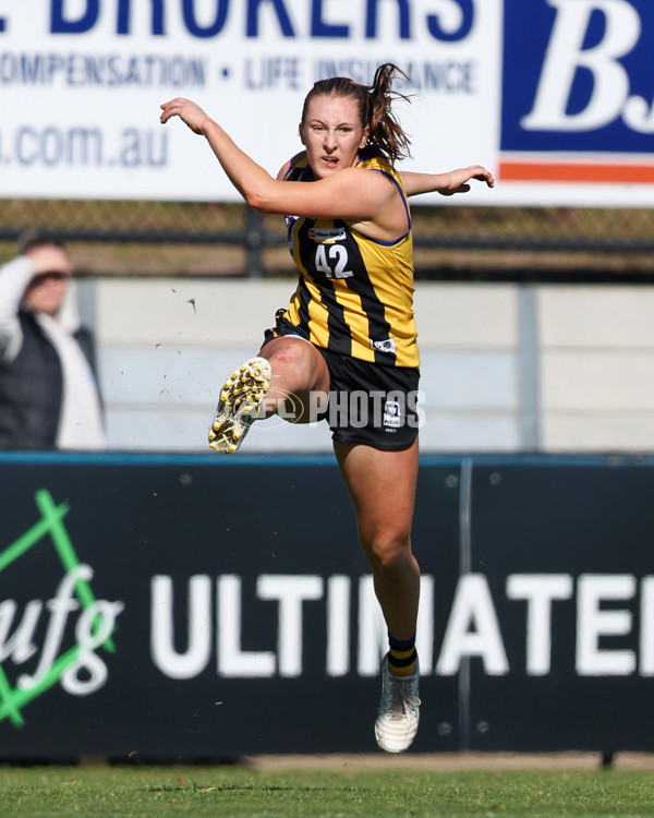VFLW 2025 Round 14 - Sandringam v North Melbourne - A-61064156