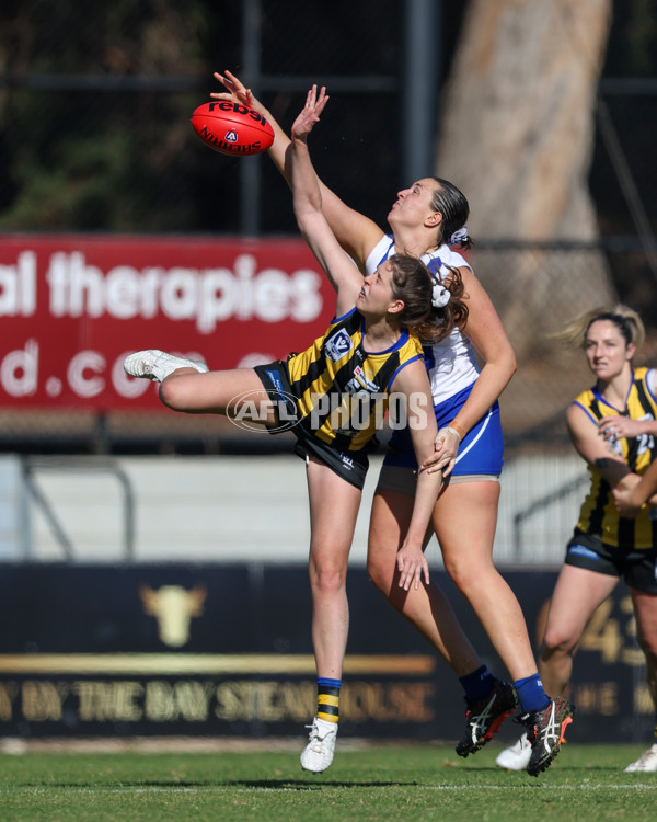 VFLW 2025 Round 14 - Sandringam v North Melbourne - A-61065009