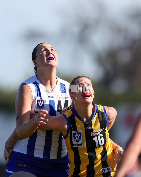 VFLW 2025 Round 14 - Sandringam v North Melbourne - A-61065010