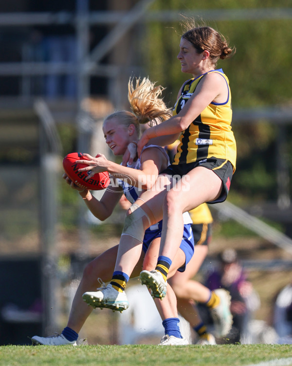 VFLW 2025 Round 14 - Sandringam v North Melbourne - A-61065012