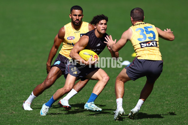 AFL 2025 Training - Gold Coast 070825 - A-61146742