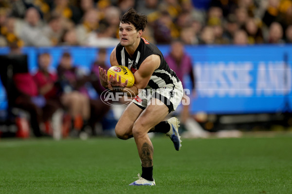 AFL 2025 Round 22 - Hawthorn v Collingwood - A-61166362