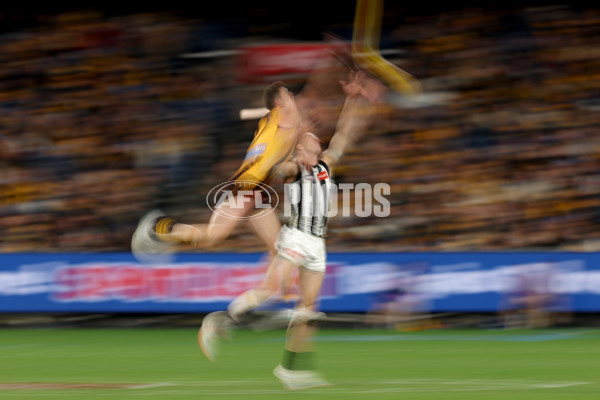 AFL 2025 Round 22 - Hawthorn v Collingwood - A-61167566