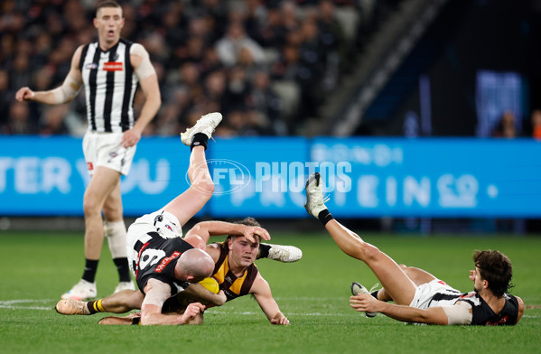 AFL 2025 Round 22 - Hawthorn v Collingwood - A-61167578