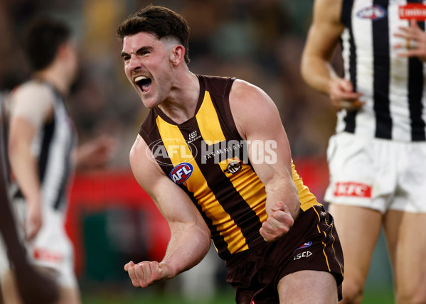 AFL 2025 Round 22 - Hawthorn v Collingwood - A-61170442