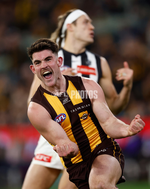 AFL 2025 Round 22 - Hawthorn v Collingwood - A-61171808