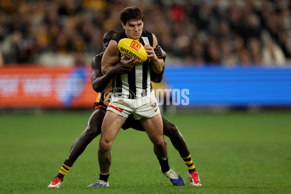 AFL 2025 Round 22 - Hawthorn v Collingwood - A-61171849