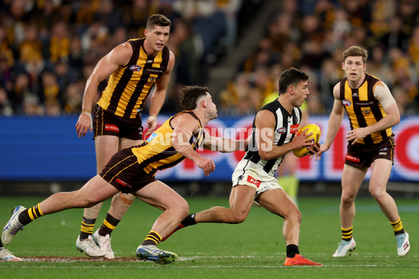 AFL 2025 Round 22 - Hawthorn v Collingwood - A-61174087