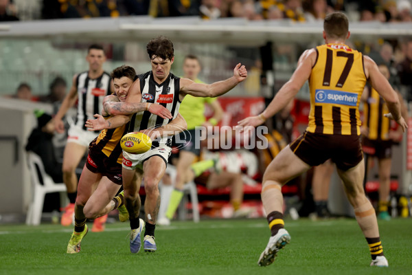 AFL 2025 Round 22 - Hawthorn v Collingwood - A-61174093