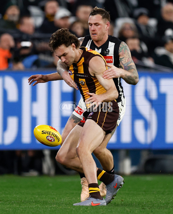 AFL 2025 Round 22 - Hawthorn v Collingwood - A-61176326