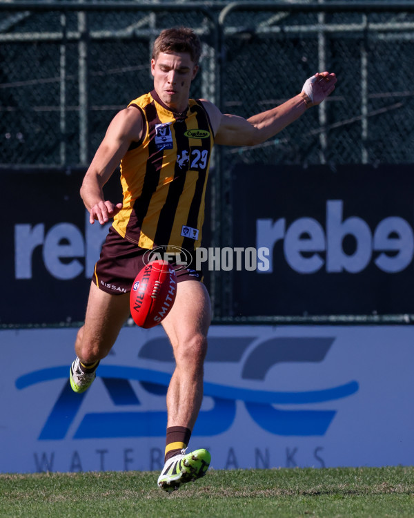 VFL 2025 Round 20 - Box Hill v Footscray - A-61196736