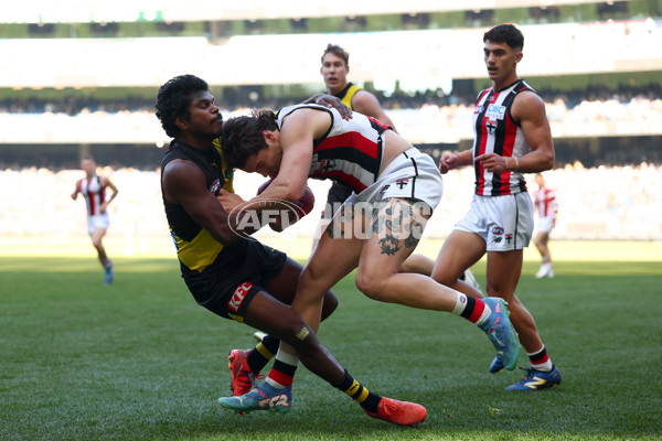 AFL 2025 Round 22 - Richmond v St Kilda - A-61196758