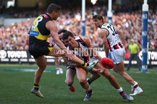 AFL 2025 Round 22 - Richmond v St Kilda - A-61196764