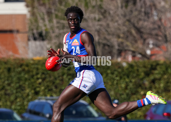 VFL 2025 Round 20 - Box Hill v Footscray - A-61198470