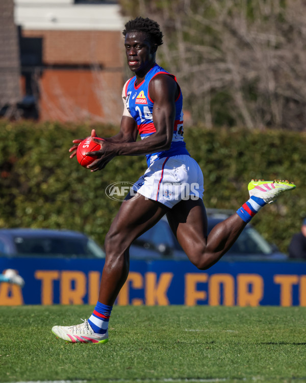 VFL 2025 Round 20 - Box Hill v Footscray - A-61198472