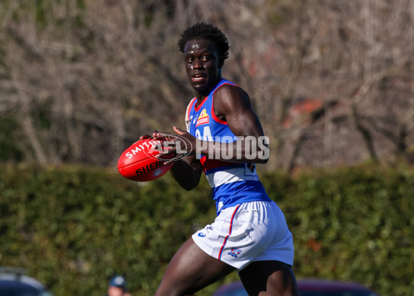 VFL 2025 Round 20 - Box Hill v Footscray - A-61198473