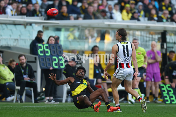 AFL 2025 Round 22 - Richmond v St Kilda - A-61198523