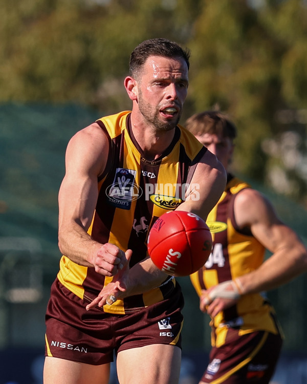 VFL 2025 Round 20 - Box Hill v Footscray - A-61199538