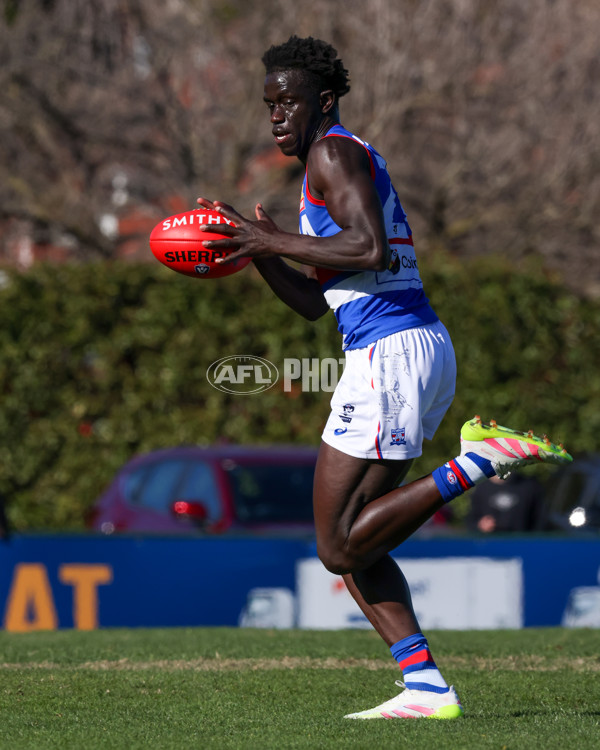 VFL 2025 Round 20 - Box Hill v Footscray - A-61199549