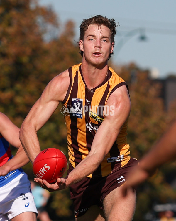 VFL 2025 Round 20 - Box Hill v Footscray - A-61201327