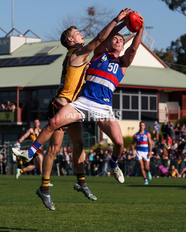 VFL 2025 Round 20 - Box Hill v Footscray - A-61201333