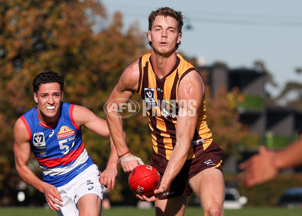 VFL 2025 Round 20 - Box Hill v Footscray - A-61201832