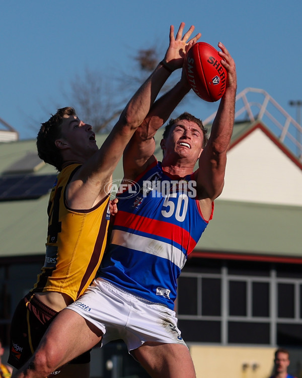 VFL 2025 Round 20 - Box Hill v Footscray - A-61201838