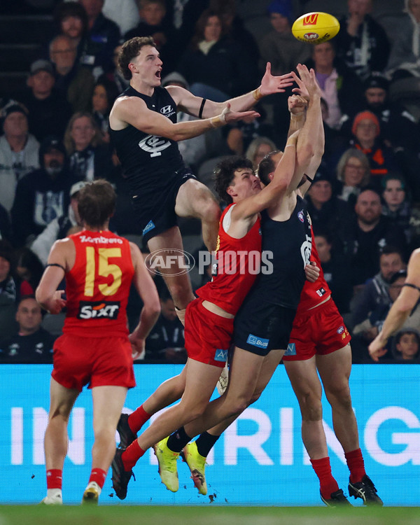 AFL 2025 Round 22 - Carlton v Gold Coast - A-61222929