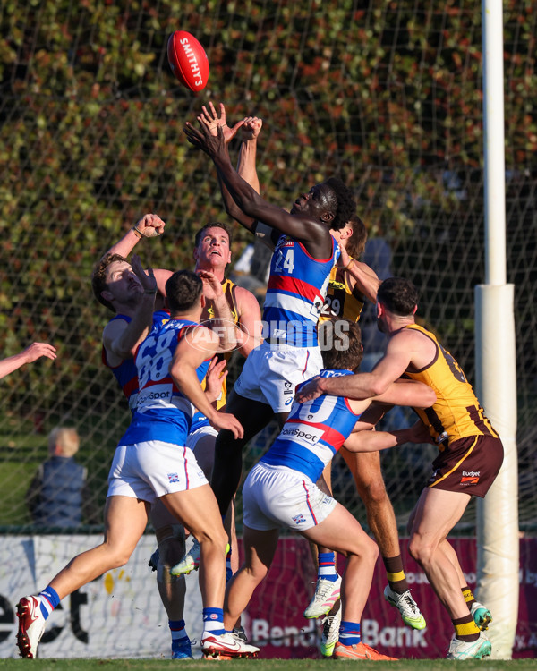 VFL 2025 Round 20 - Box Hill v Footscray - A-61225004
