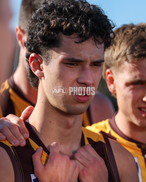 VFL 2025 Round 20 - Box Hill v Footscray - A-61230550