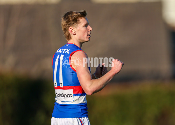 VFL 2025 Round 20 - Box Hill v Footscray - A-61234861