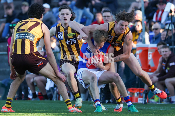 VFL 2025 Round 20 - Box Hill v Footscray - A-61237485