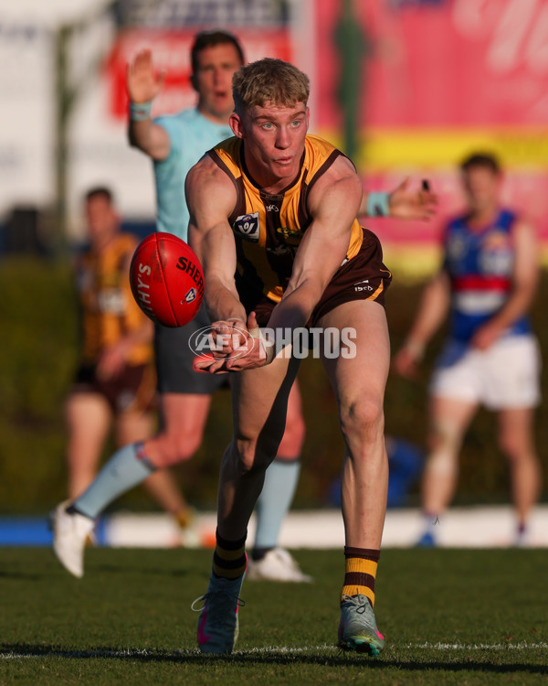 VFL 2025 Round 20 - Box Hill v Footscray - A-61238414