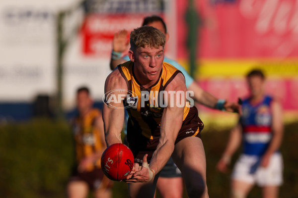 VFL 2025 Round 20 - Box Hill v Footscray - A-61239968