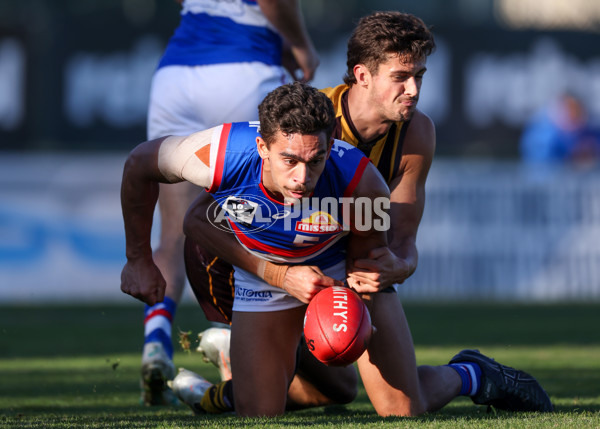 VFL 2025 Round 20 - Box Hill v Footscray - A-61239998