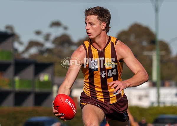 VFL 2025 Round 20 - Box Hill v Footscray - A-61239999