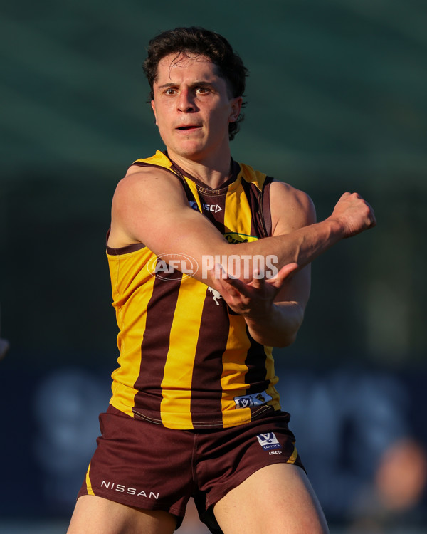 VFL 2025 Round 20 - Box Hill v Footscray - A-61241067