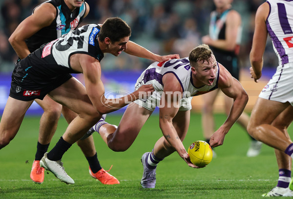 AFL 2025 Round 22 - Port Adelaide v Fremantle - A-61245663
