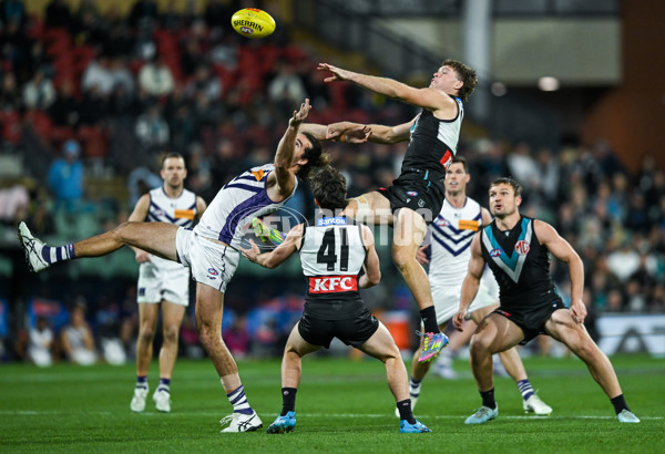 AFL 2025 Round 22 - Port Adelaide v Fremantle - A-61248219