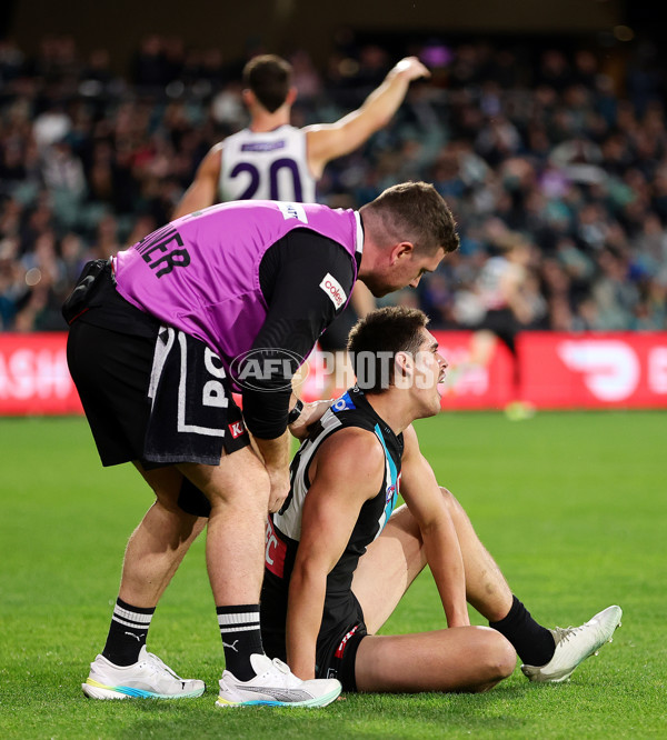 AFL 2025 Round 22 - Port Adelaide v Fremantle - A-61248288