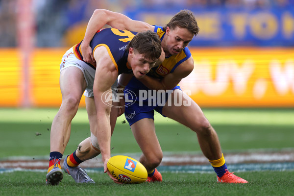 AFL 2025 Round 22 - West Coast v Adelaide - A-61275392