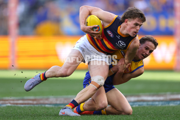 AFL 2025 Round 22 - West Coast v Adelaide - A-61275393