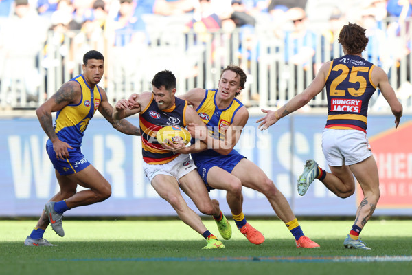 AFL 2025 Round 22 - West Coast v Adelaide - A-61275468