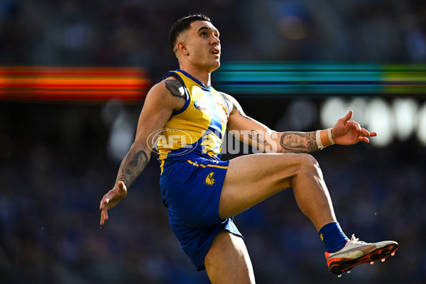 AFL 2025 Round 22 - West Coast v Adelaide - A-61275480
