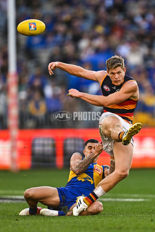 AFL 2025 Round 22 - West Coast v Adelaide - A-61281093