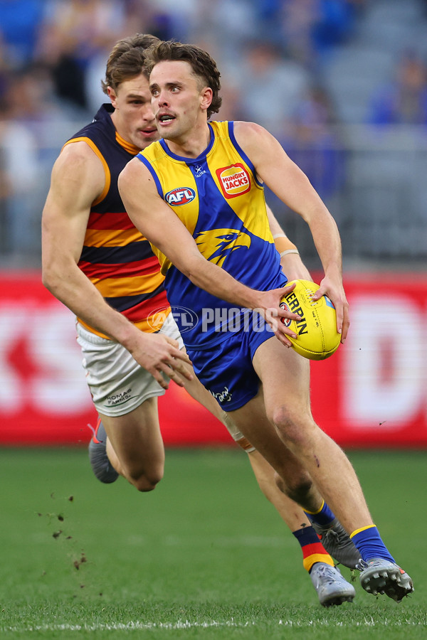 AFL 2025 Round 22 - West Coast v Adelaide - A-61284017