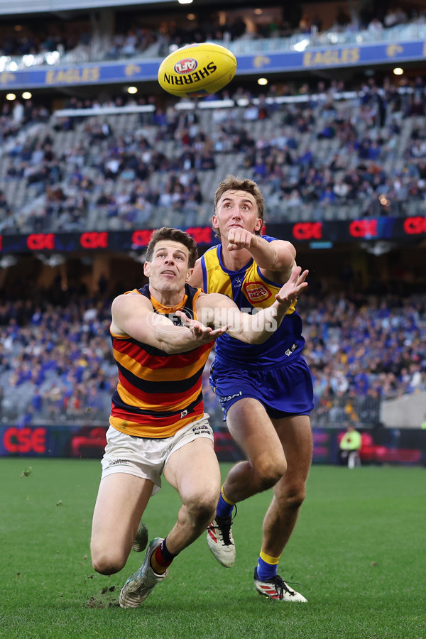 AFL 2025 Round 22 - West Coast v Adelaide - A-61286608