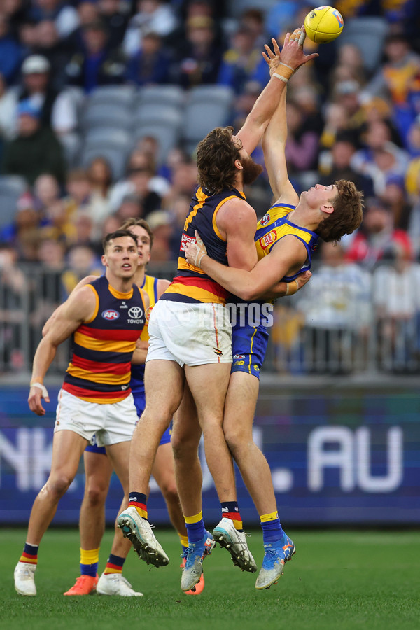 AFL 2025 Round 22 - West Coast v Adelaide - A-61286639
